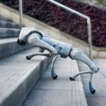 Бионический четырехопорный робот Unitree Go2 EDU — изображение 10