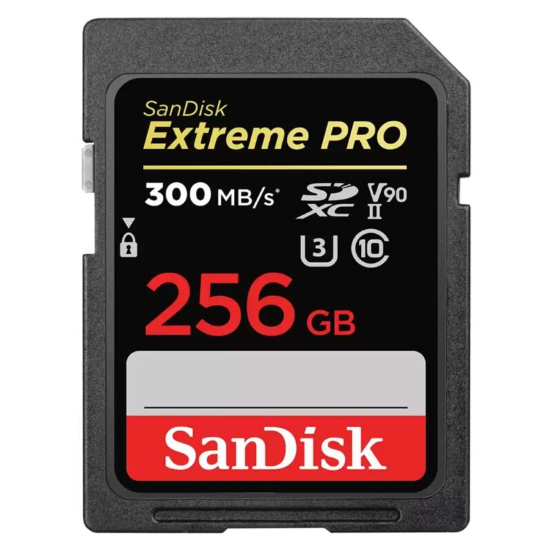 1419614 Карта памяти SanDisk Extreme PRO 256GB SDXC Memory Card up to 300MB/s, UHS-II, Class 10, U3, V90 — изображение 1