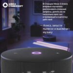 Умная колонка Яндекс Станция Мини 3, модель YNDX-00027 (чёрный) — изображение 8