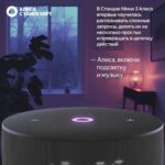 Умная колонка Яндекс Станция Мини 3, модель YNDX-00027 (чёрный) — изображение 6