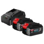 Набор аккумулятор и зарядное устройство Deli DE-CM20A4E (2АКБ 20V 4А*ч + ЗУ 2A, 20V)