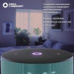Яндекс Станция Мини 3, модель YNDX-00027(бирюзовый) — изображение 9